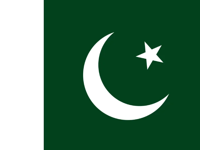 Pakistan Flag - Headhunting Services in Pakistan